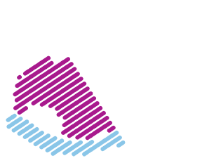 Pimlico Neighbourhood Forum